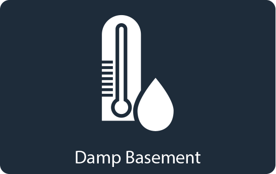 Damp Basement