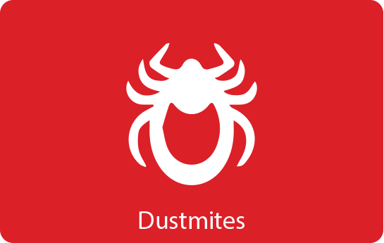 Dustmites