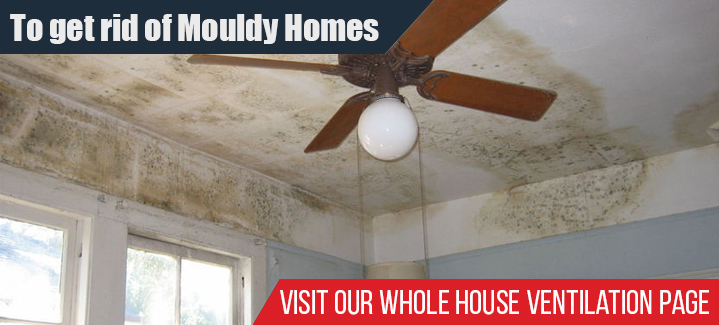 To Get Rid Of Mouldy Homes