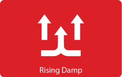 rising damp mould removal sub floor ventilation mouldbuster.com.au