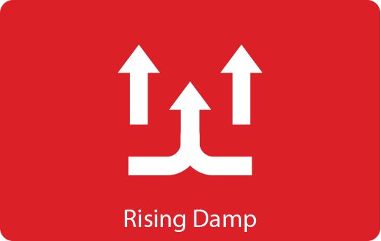 Rising Damp